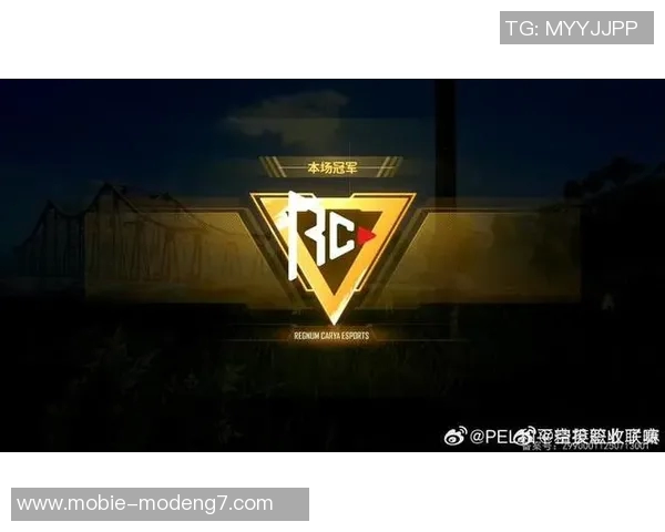 世界杯新闻和平精英战术排名分析IG战队表现创新高引发热议